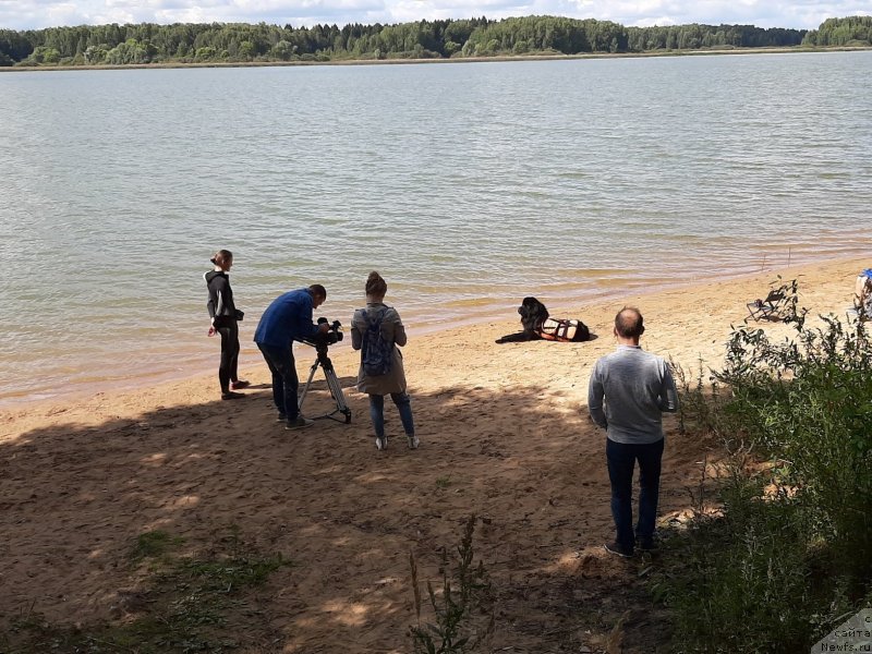 Фотография № 244547