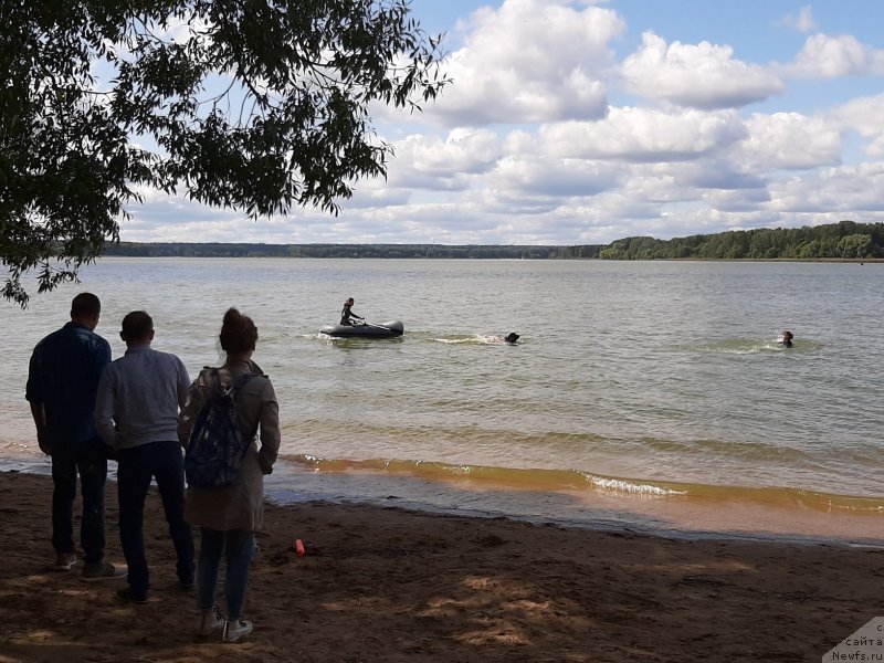 Фото: ньюфаундленд Риччи с Берега Дона (Richchi s Berega Dona), Анна Петрушкина, Анастасия Киреева
