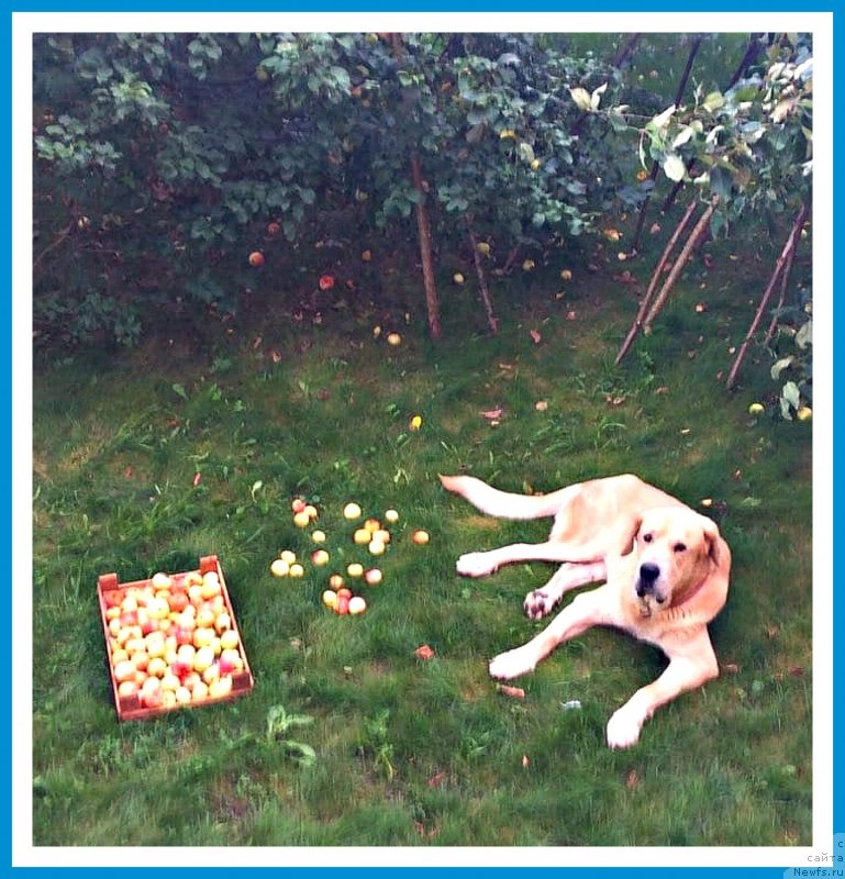 Фото: Лена Зырина