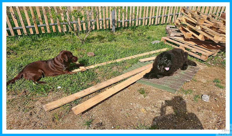 Фотография № 244585