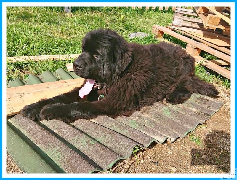 Фотография № 244586