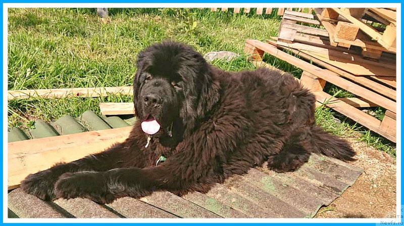 Фотография № 244587