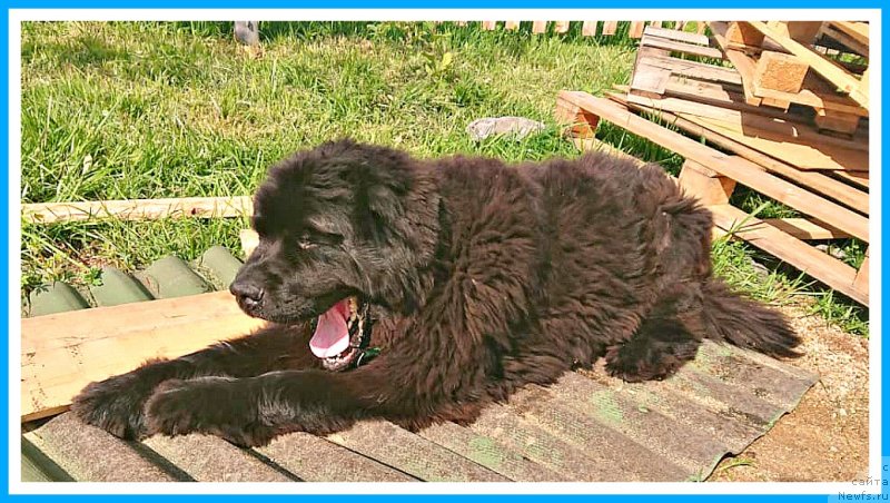 Фотография № 244588