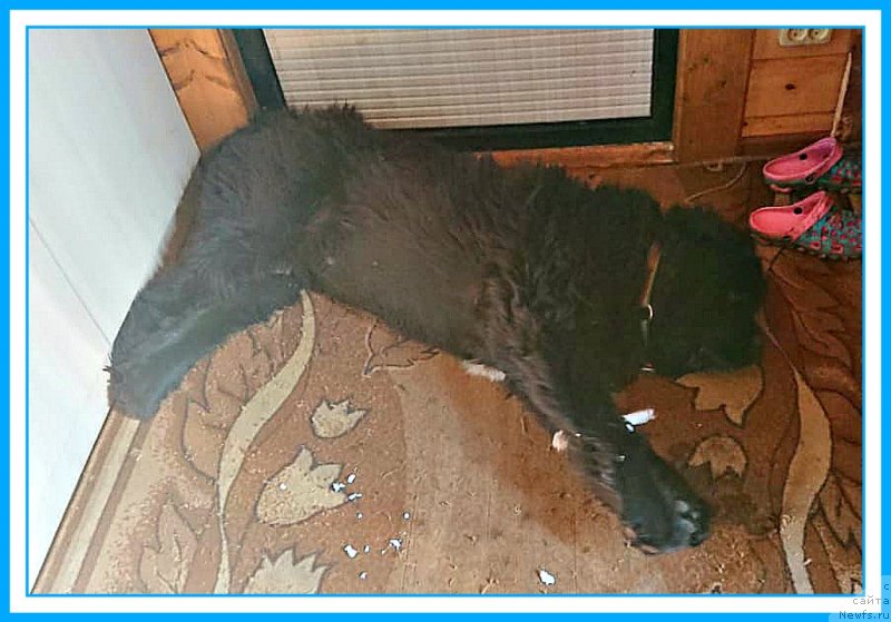 Фотография № 244590