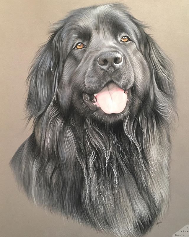 Фотография № 244592