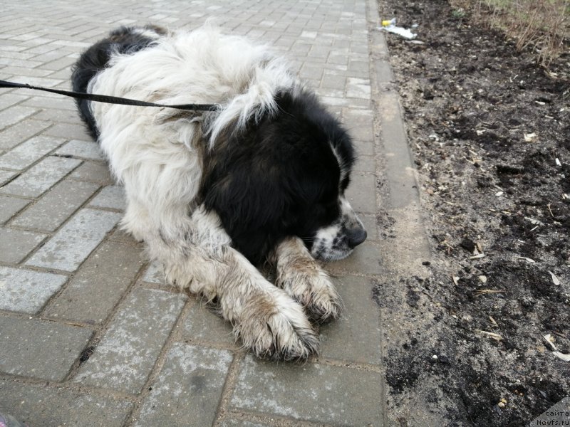 Фотография № 244598