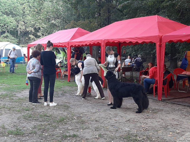 Фотография № 244637