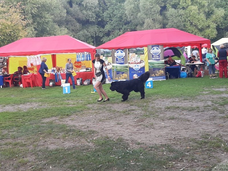 Фотография № 244641