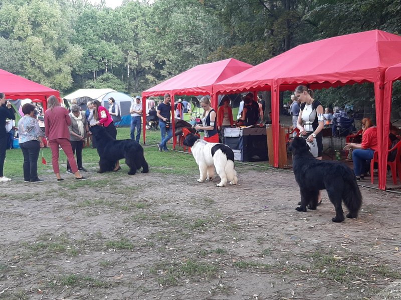 Фотография № 244642