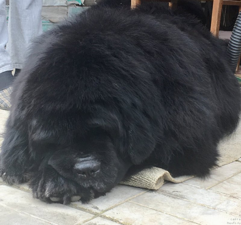 Фотография № 244649