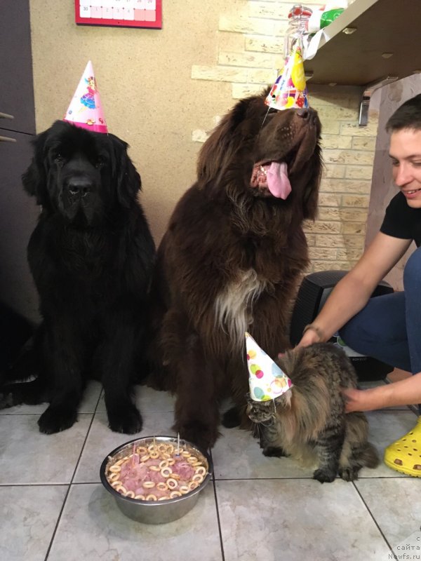 Фотография № 244657