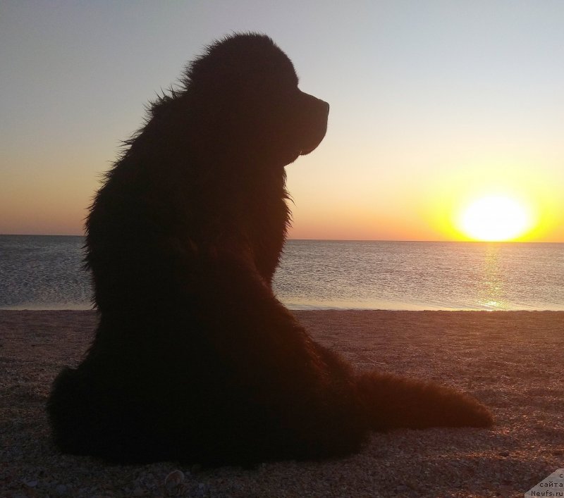 Фотография № 244670