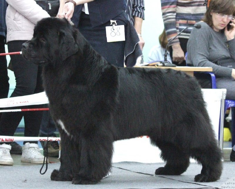 Фотография № 244672