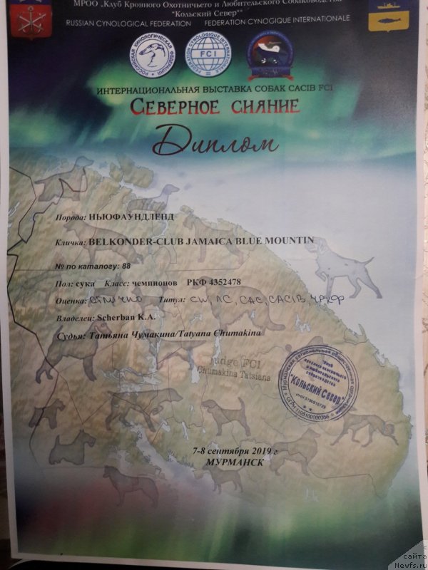 Фотография № 244673