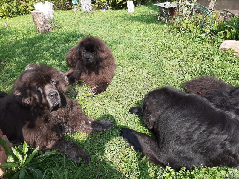 Фотография № 244676