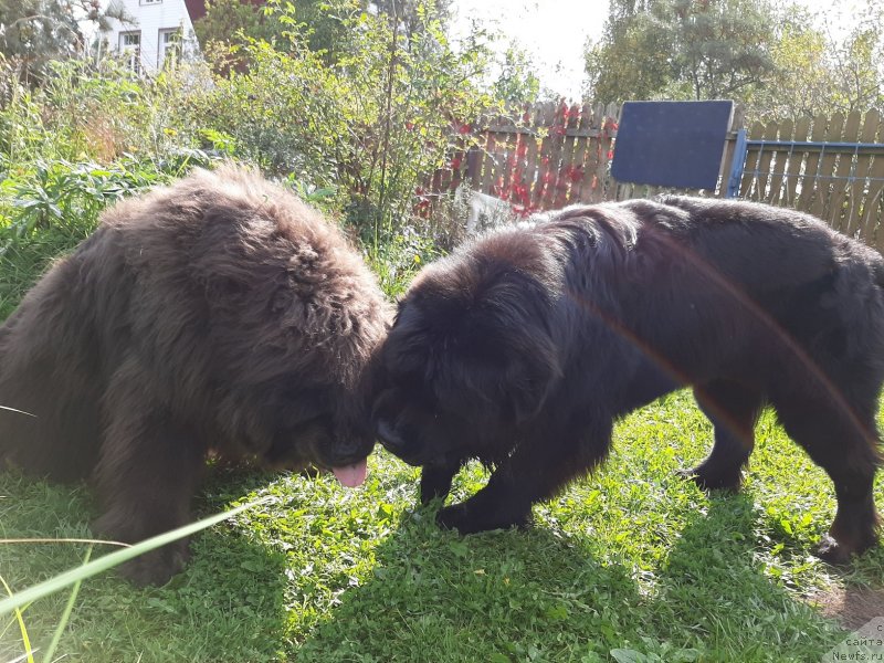 Фотография № 244678