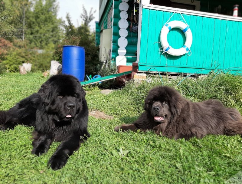 Фотография № 244679