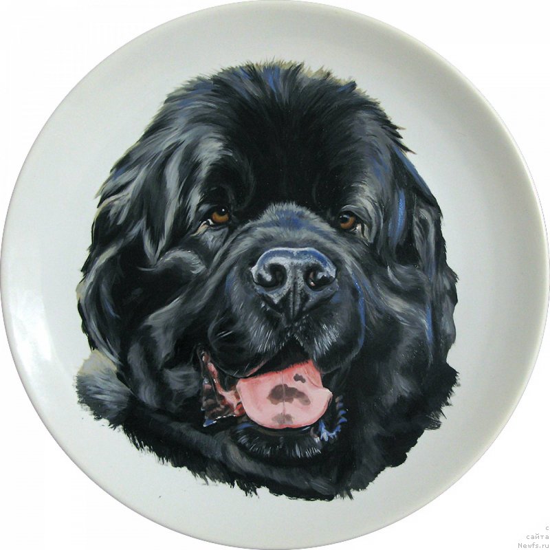 Фотография № 244685