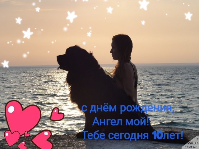 Фотография № 244686