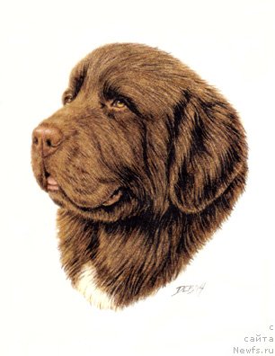 Фотография № 244690