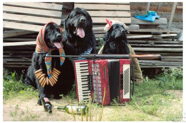 Фотография № 24470