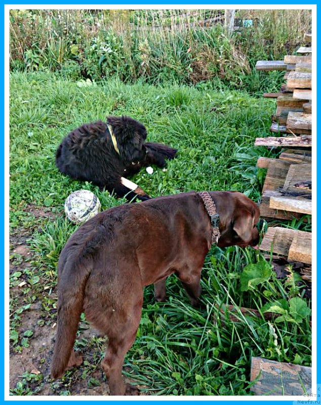 Фотография № 244716