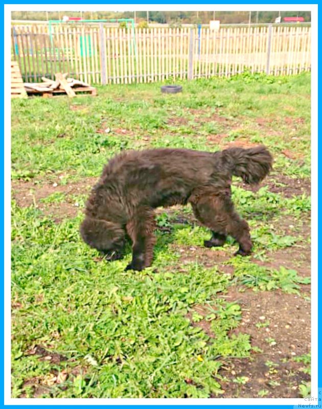 Фотография № 244717