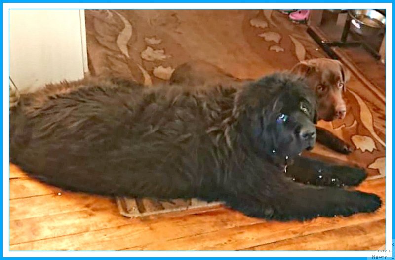 Фотография № 244718