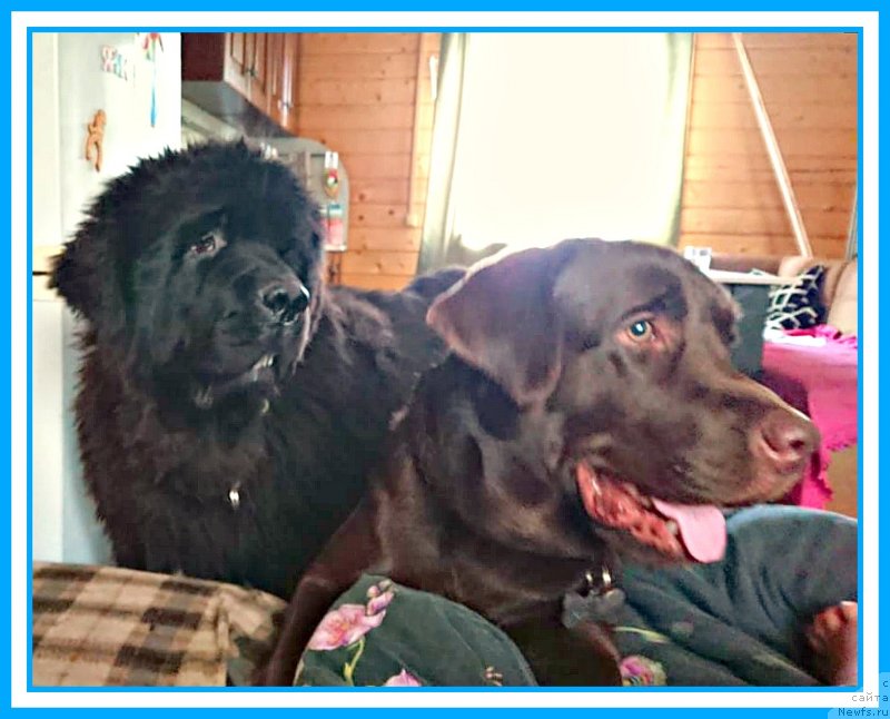 Фотография № 244719