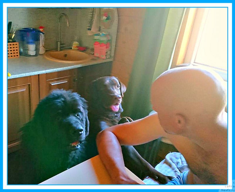 Фотография № 244720