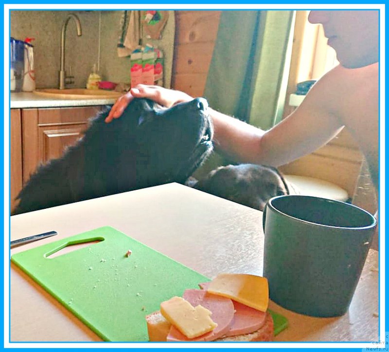 Фотография № 244721