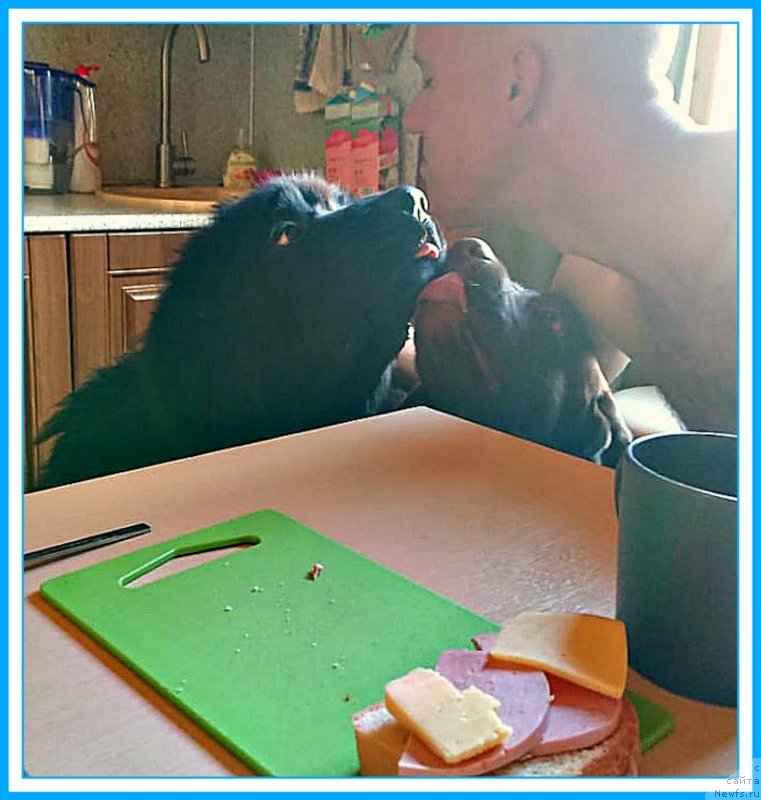 Фотография № 244722