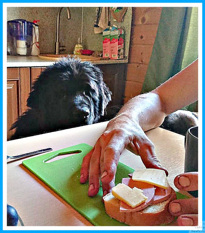 Фотография № 244723