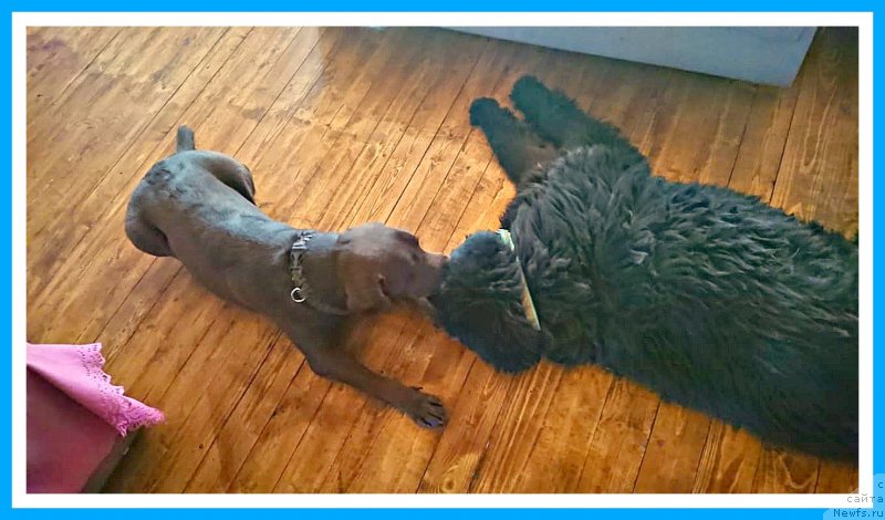 Фотография № 244724