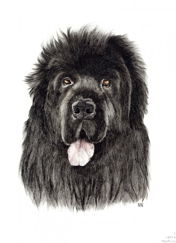 Фотография № 244742