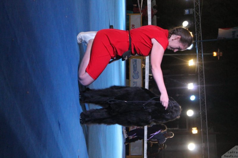 Фотография № 244786