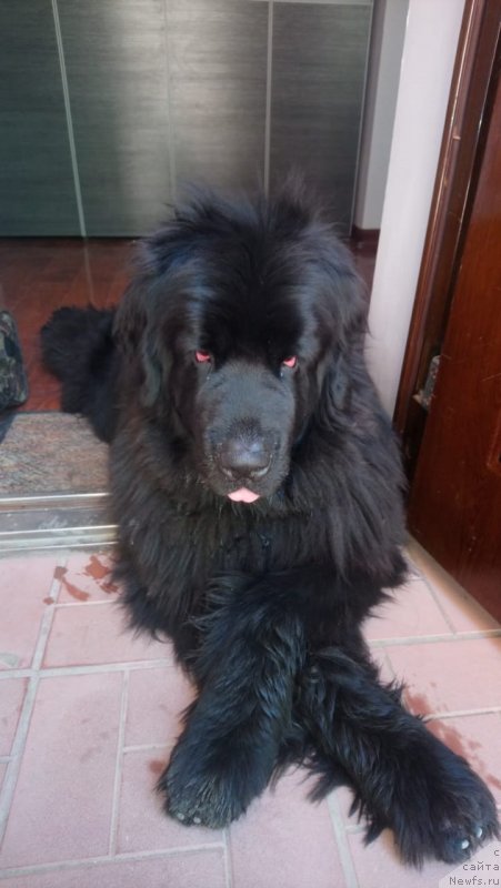 Фотография № 244792