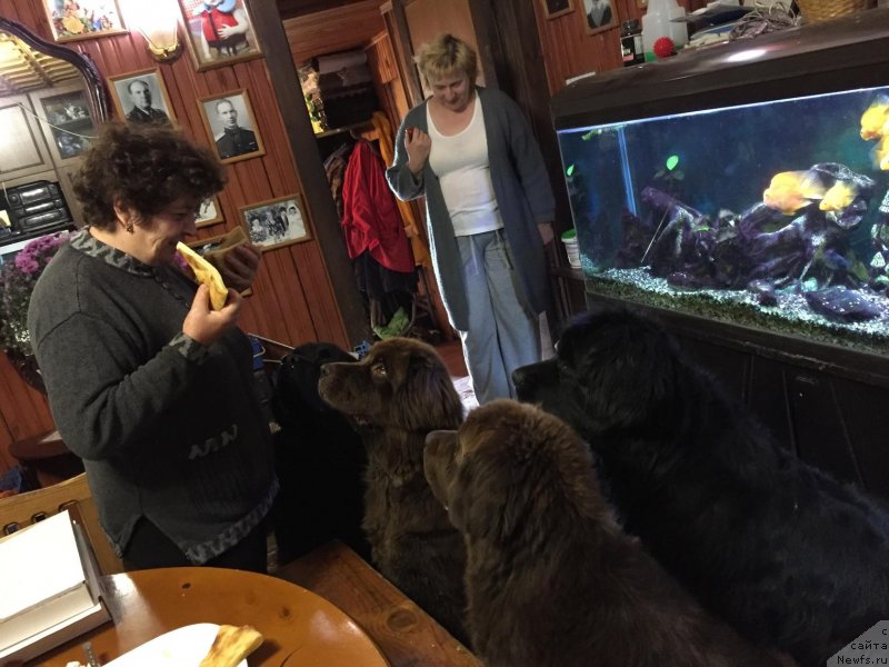 Фотография № 244819