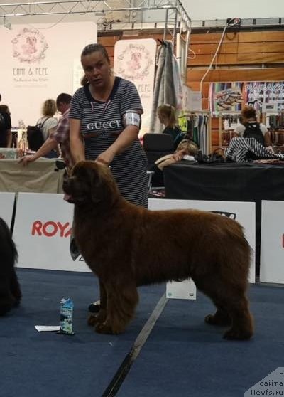 Фотография № 244827