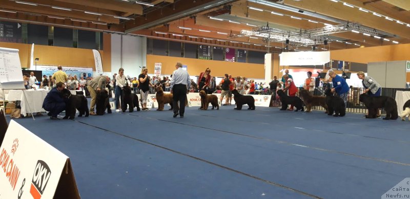 Фотография № 244828