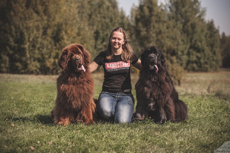 Фотография № 244834