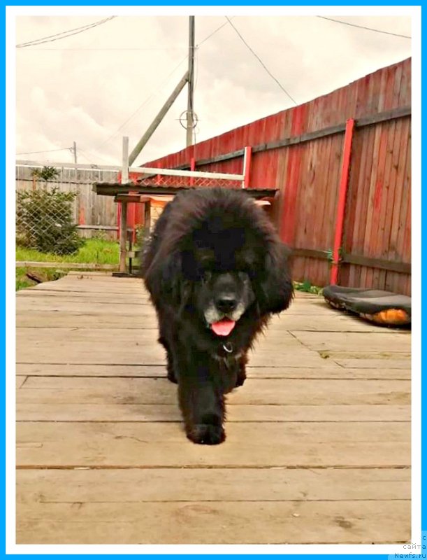 Фотография № 244857