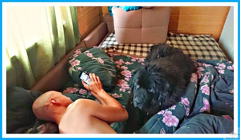 Фотография № 244866