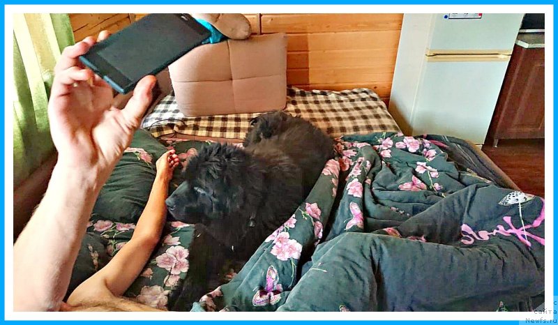 Фотография № 244867