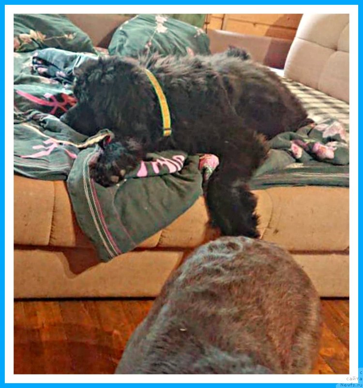 Фотография № 244868