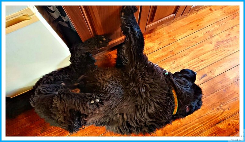 Фотография № 244870