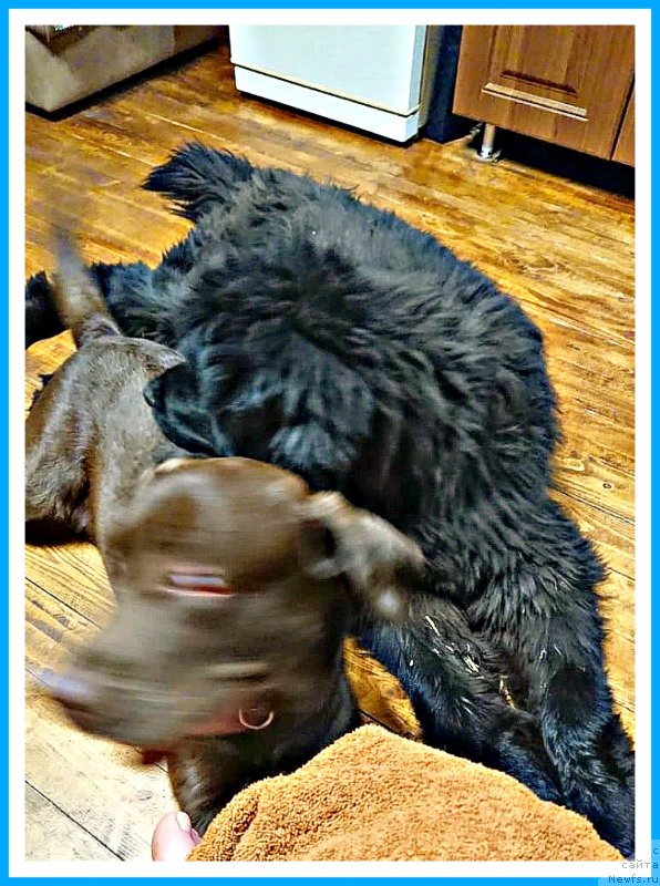 Фотография № 244872