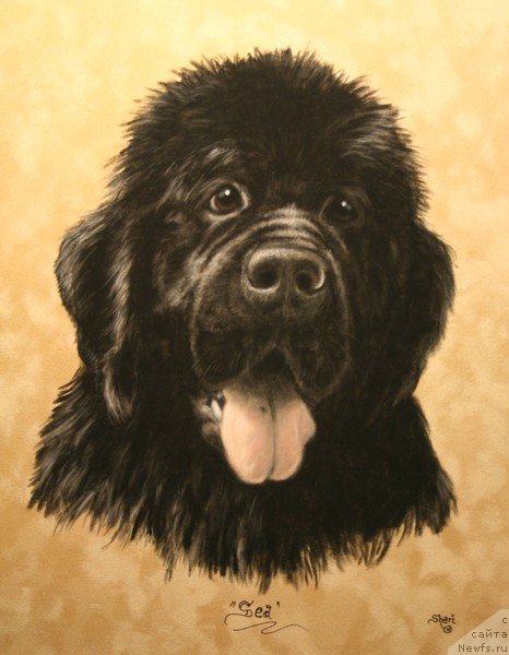 Фотография № 244890