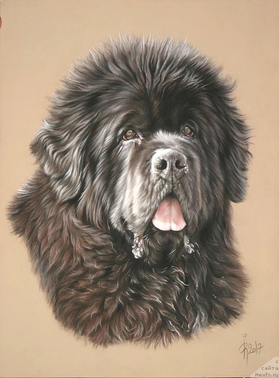 Фотография № 244916