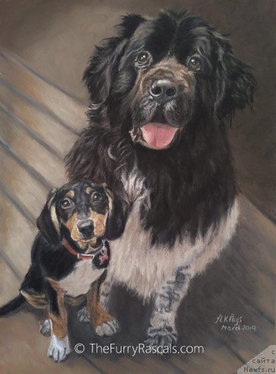 Фотография № 244928